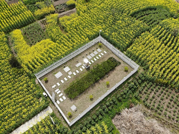 僅需2周，水質(zhì)就穩(wěn)定達(dá)標(biāo)！這種一體化生活污水處理設(shè)備供不應(yīng)求