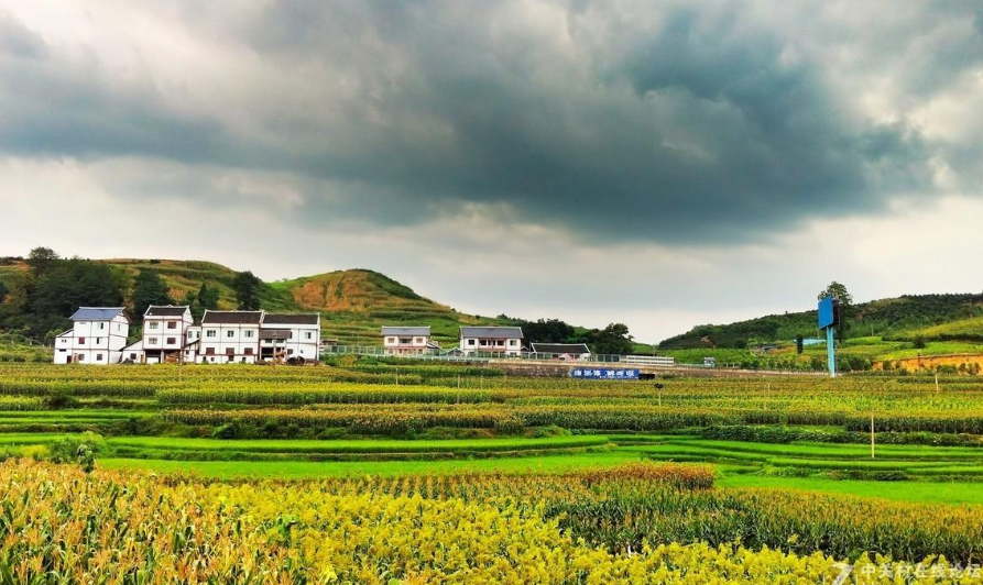 一體化生活廢水處理設備助力傳統(tǒng)農村美麗蝶變
