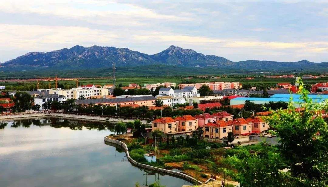 青島市“十四五”生態(tài)環(huán)境保護(hù)規(guī)劃了哪些農(nóng)村人居環(huán)境治理任務(wù)？